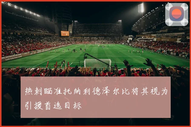 热刺瞄准托纳利德泽尔比将其视为引援首选目标