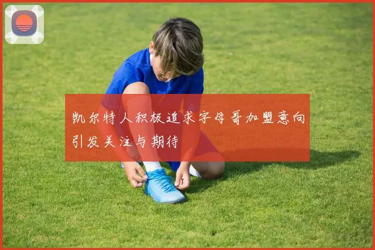 凯尔特人积极追求字母哥加盟意向引发关注与期待
